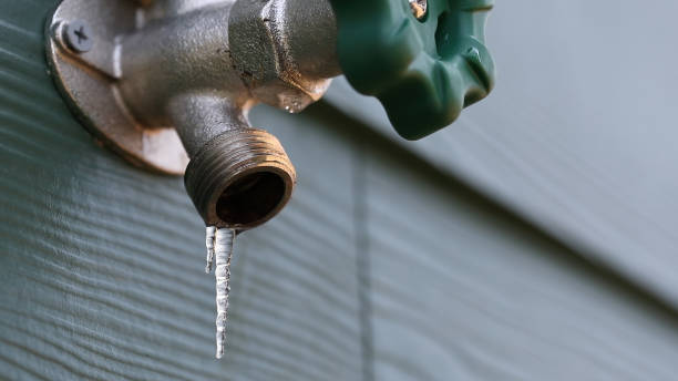Best Commercial Plumbing Services  in Thoreau, NM